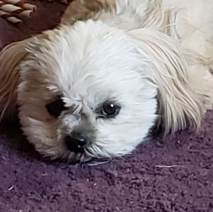 Meet your Posher, Jim